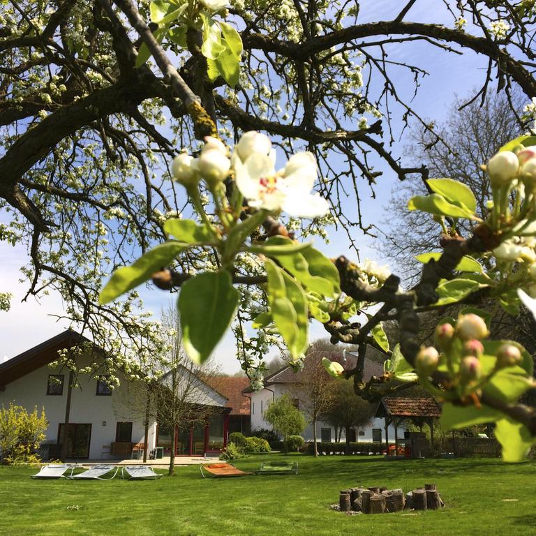 Sonnenblumenhof Guest House Muehlheim Exterior photo